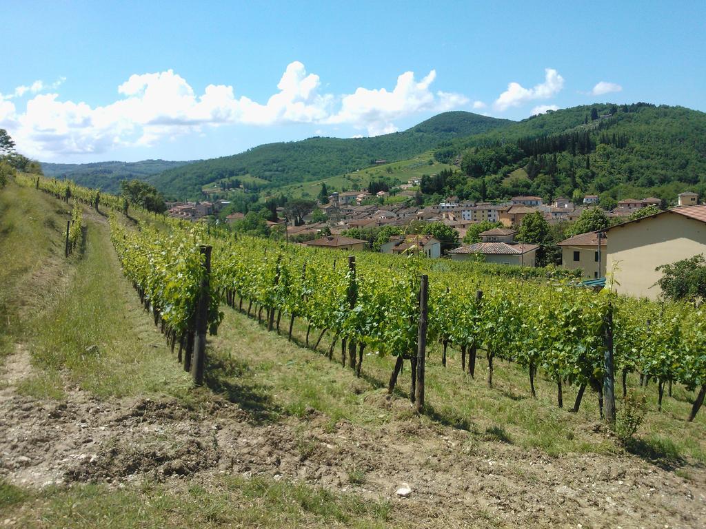 Podere Campriano Winery Adult Only Farm stay *