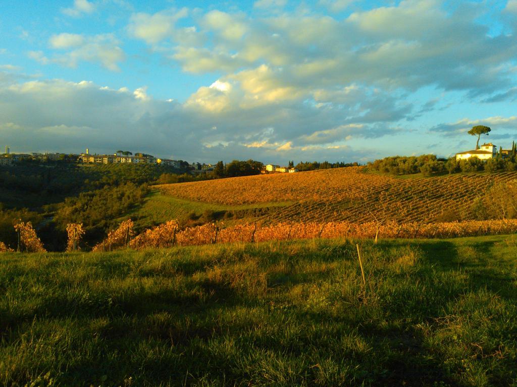 Alloggio per agriturismo Podere Campriano Winery