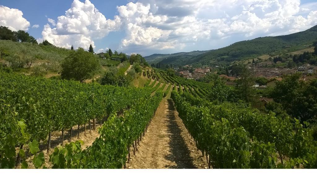 Podere Campriano Winery Adult Only Farm stay *